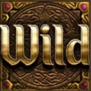 Wizards Want War!: Wild symbol