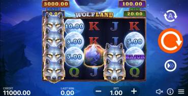 Wolf Land: Hold and Win: Slot machine