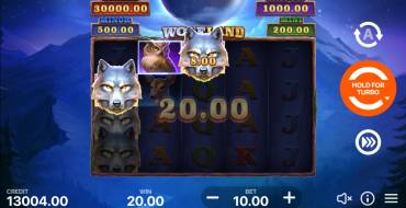 Wolf Land: Hold and Win: Winnings