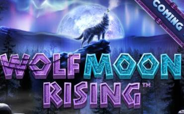 Wolf Moon Rising slot