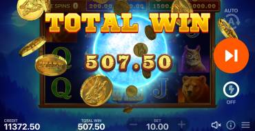 Wolf Power: Hold and Win: Winnings