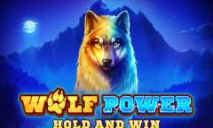 Play Wolf Power: Hold and Win