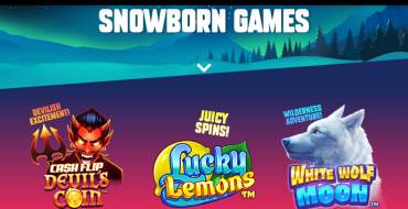 Snowborn Games: Website